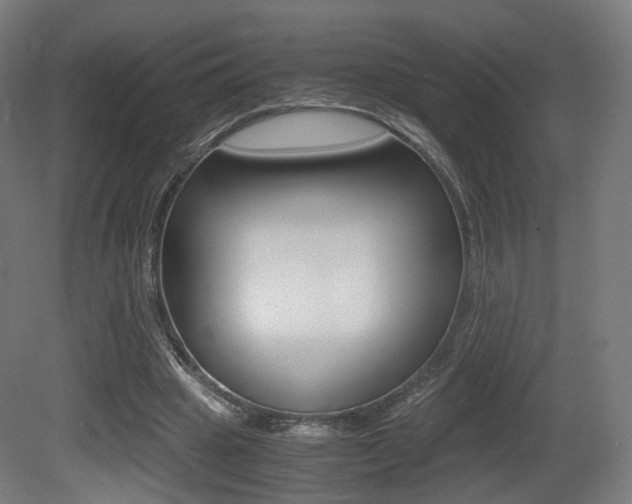 X0000081390441200701111211