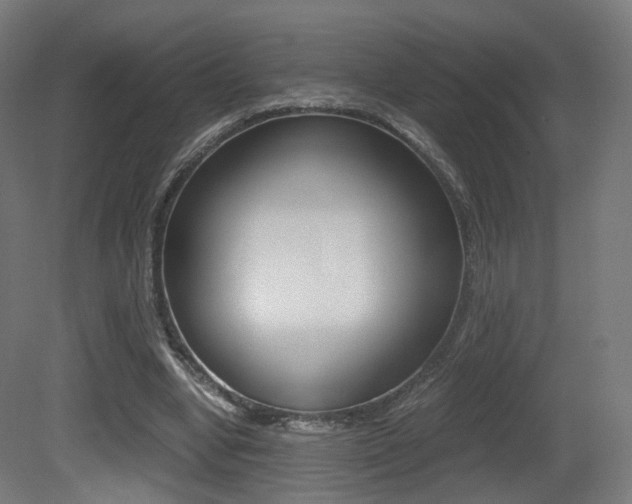 X0000081390442200701111211