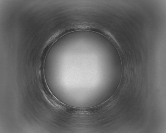 X0000081390443200701111211