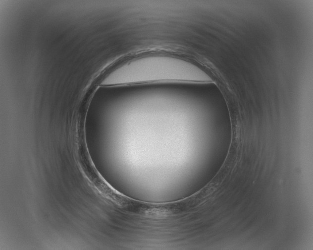 X0000081390444200701111211