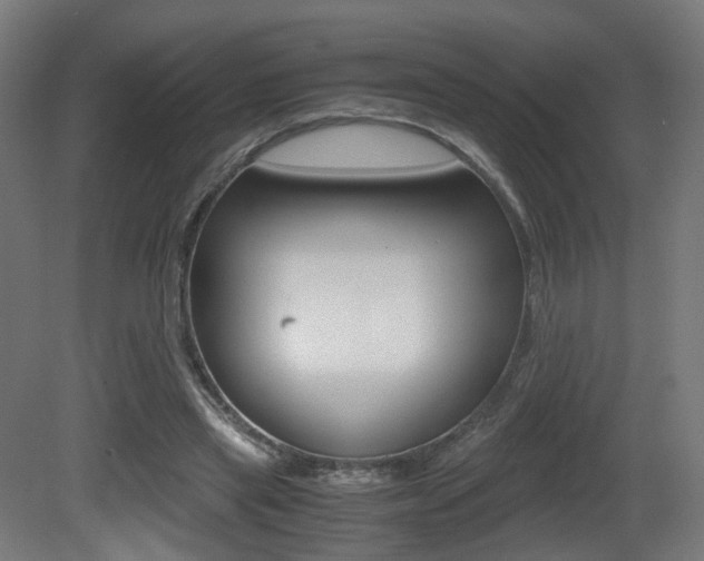 X0000081390445200701111211