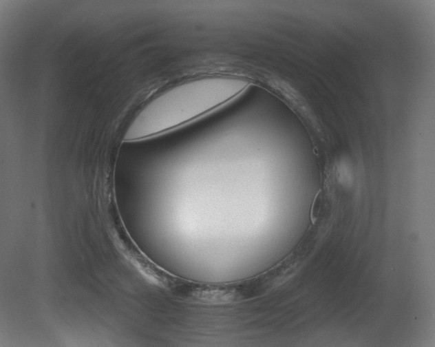 X0000081390449200701111211