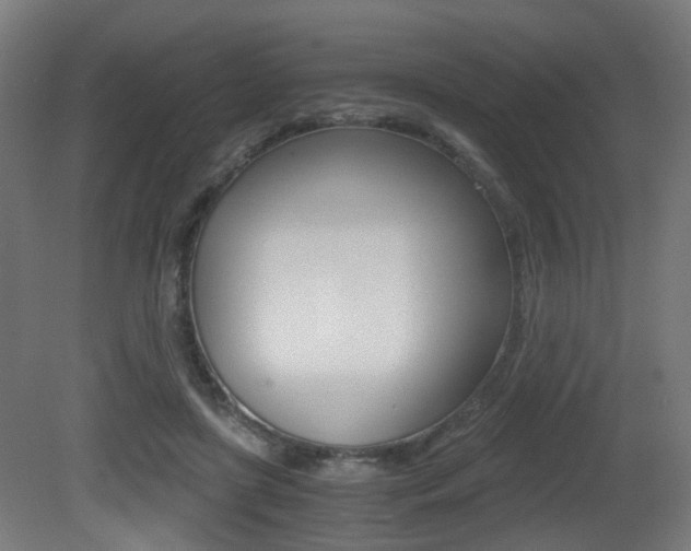 X0000081390451200701111211