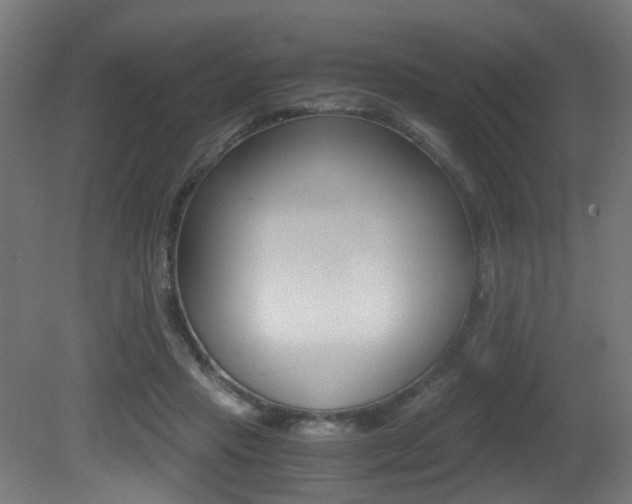X0000081390453200701111211