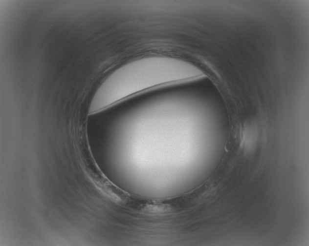 X0000081390455200701111211