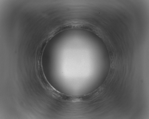 X0000081390456200701111211