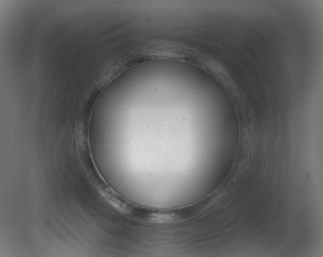 X0000081390457200701111211