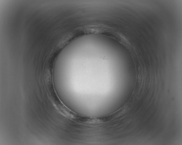 X0000081390459200701111211