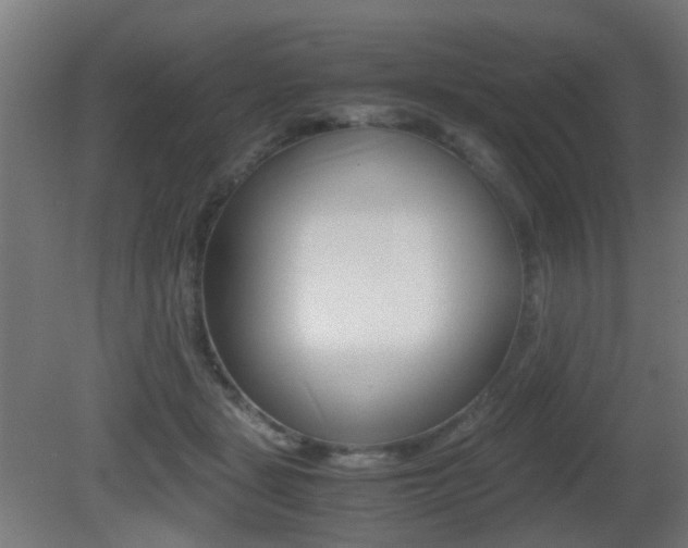 X0000081390461200701111211