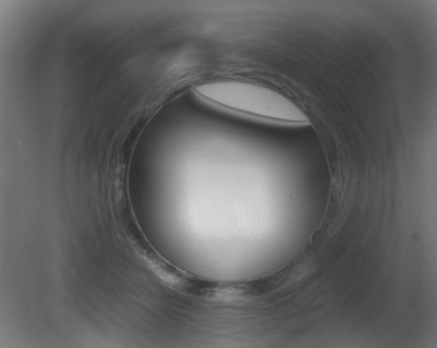 X0000081390462200701111211