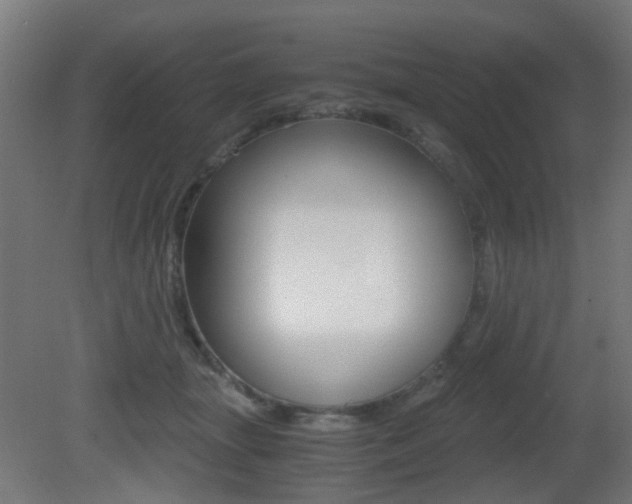 X0000081390463200701111211