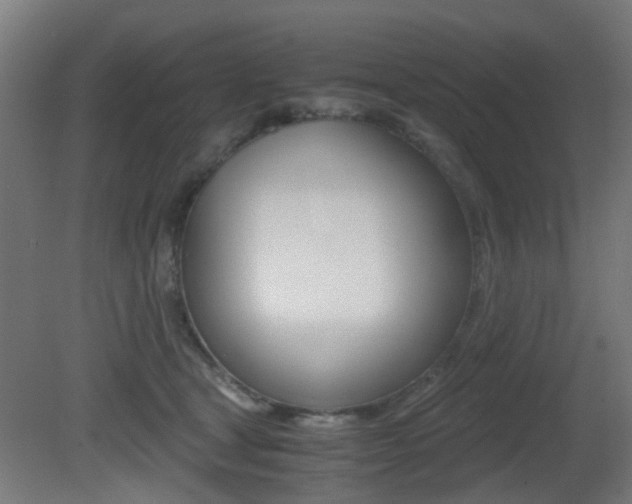 X0000081390465200701111211