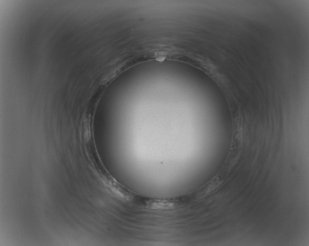 X0000081390471200701111211