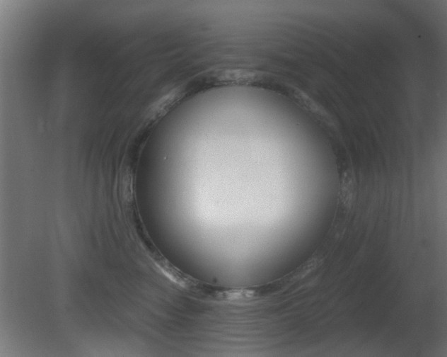 X0000081390474200701111211