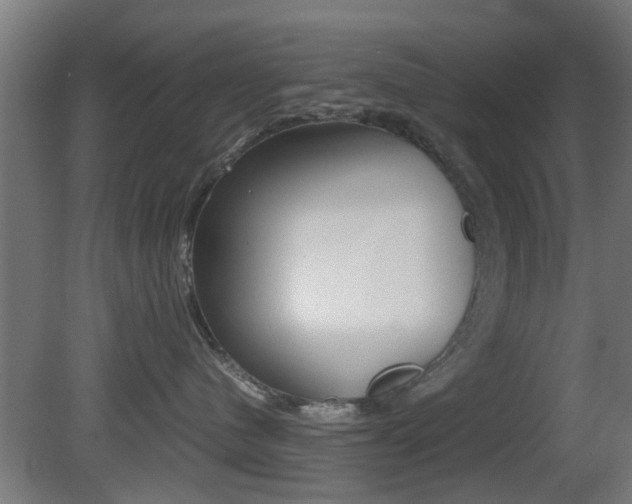 X0000081390480200701111211