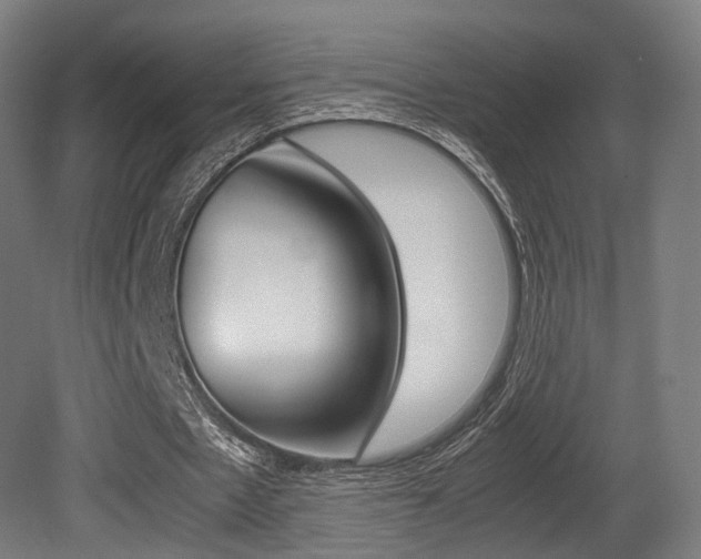 X0000081390481200701111211