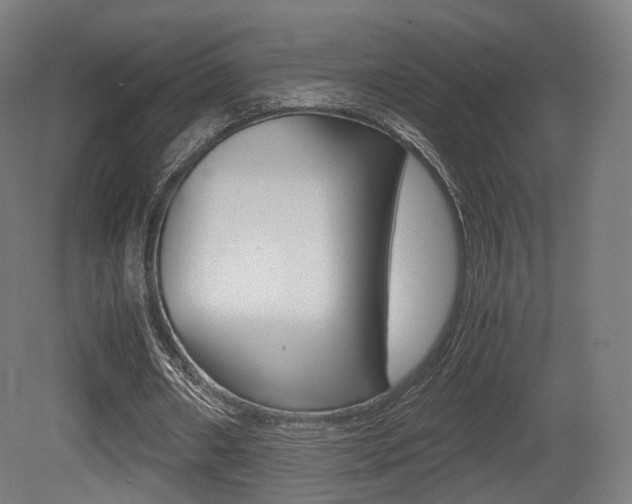 X0000081390482200701111211