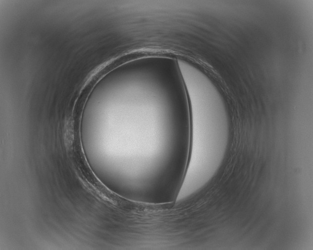 X0000081390484200701111211