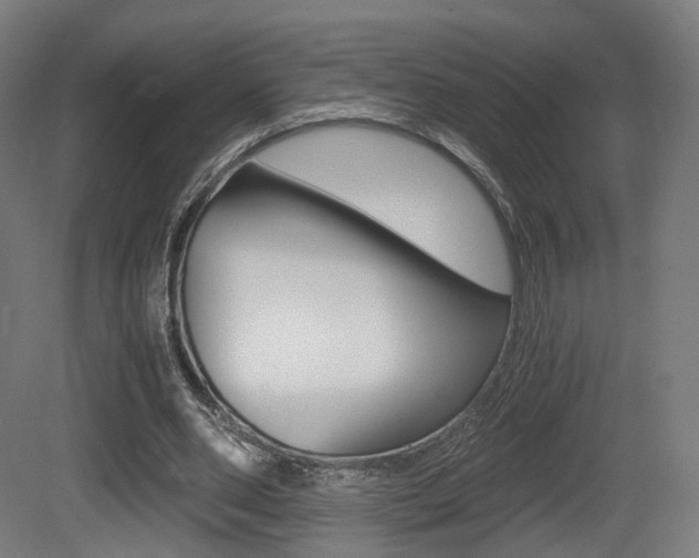 X0000081390486200701111211
