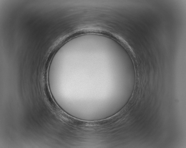 X0000081390487200701111211