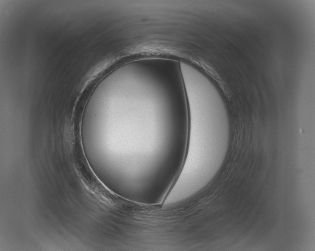 X0000081390488200701111211