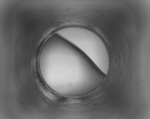 X0000081390491200701111210