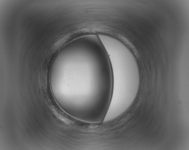 X0000081390493200701111210