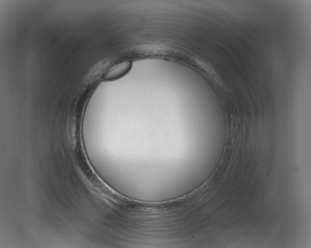 X0000081390494200701111210