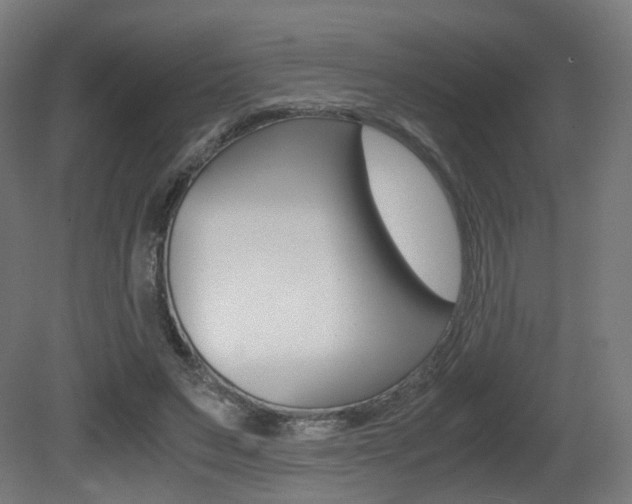 X0000081390495200701111210