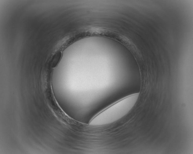 X0000081390496200701111210