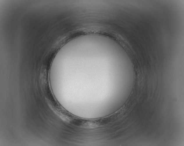 X0000081390498200701111210