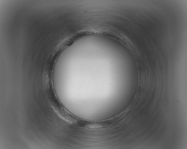 X0000081390500200701111210