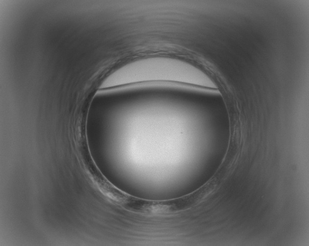 X0000081390501200701111210