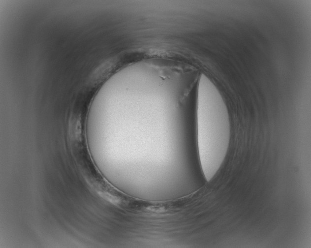 X0000081390502200701111210