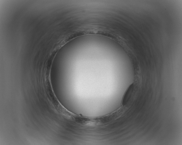 X0000081390504200701111210