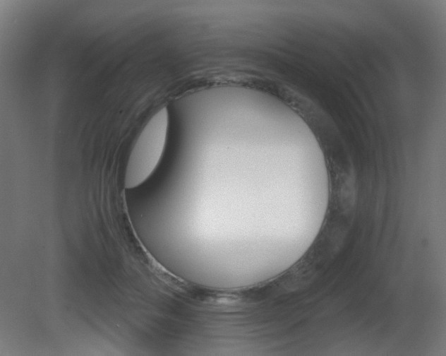 X0000081390506200701111210