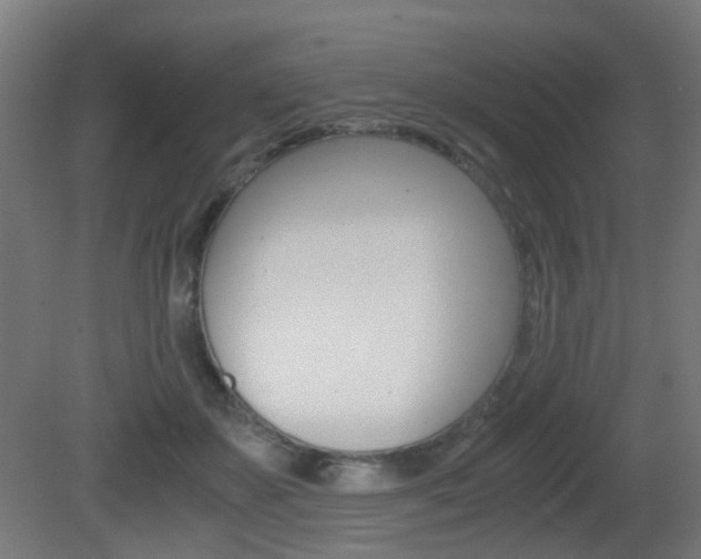 X0000081390507200701111210
