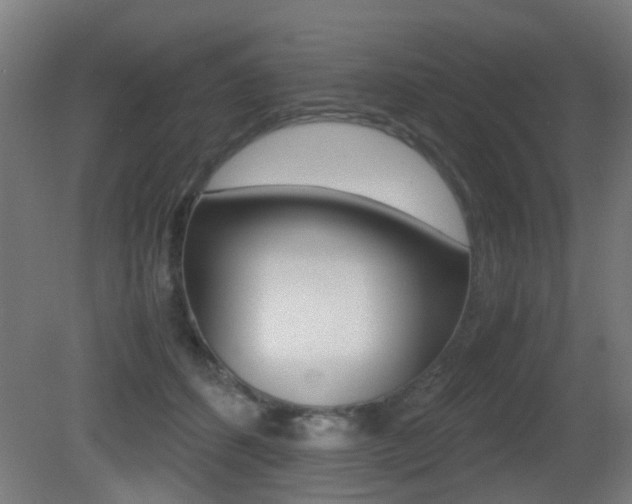 X0000081390512200701111210