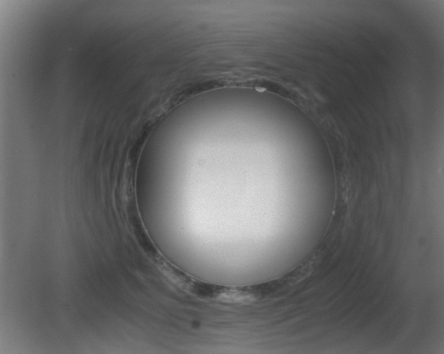 X0000081390515200701111210