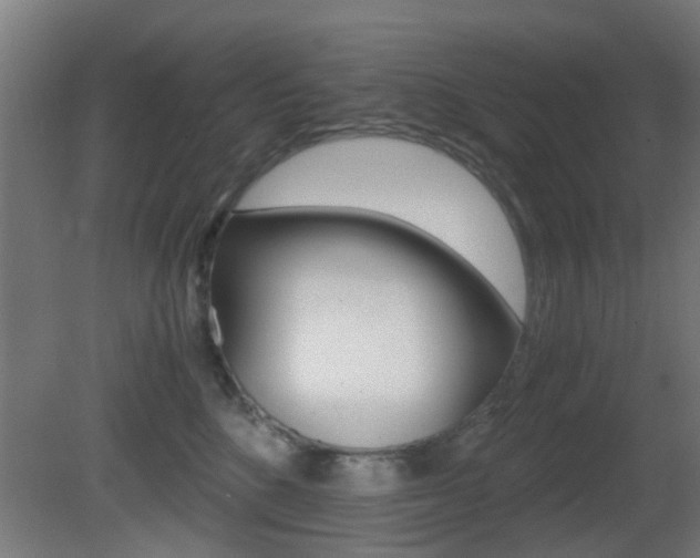 X0000081390520200701111210