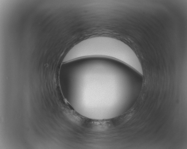 X0000081390524200701111210