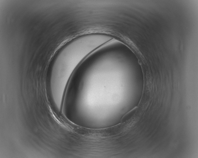 X0000081390530200701111209