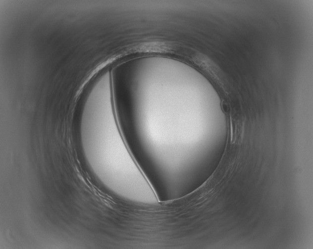 X0000081390531200701111209