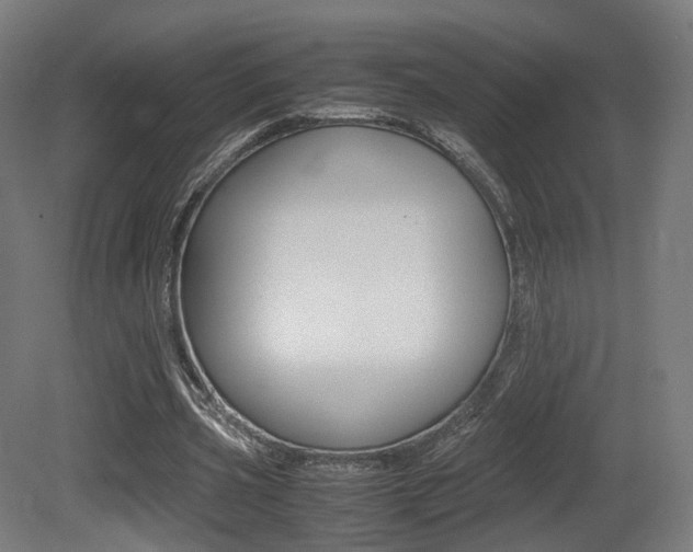 X0000081390533200701111209