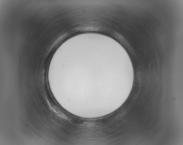 X0000081390534200701111209