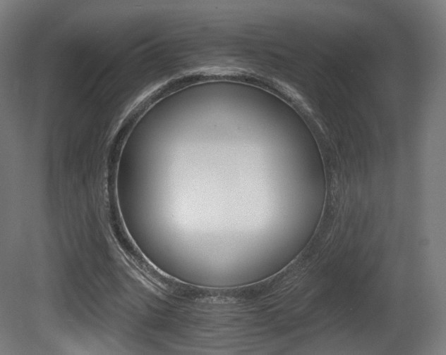 X0000081390535200701111209