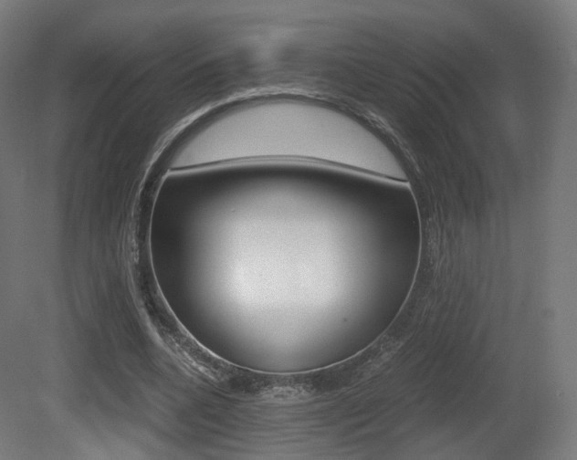 X0000081390536200701111209