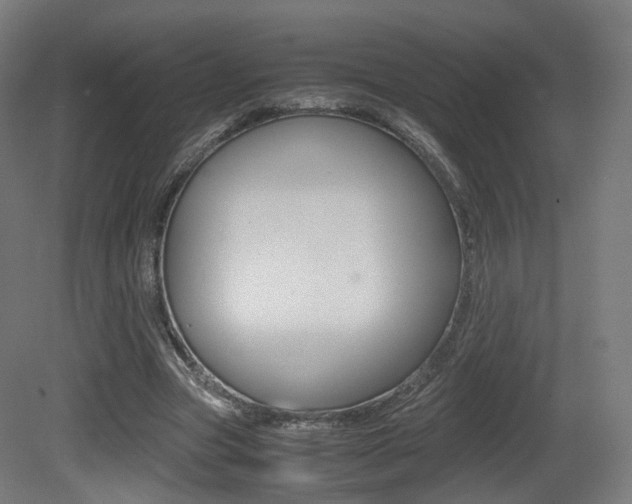 X0000081390537200701111209