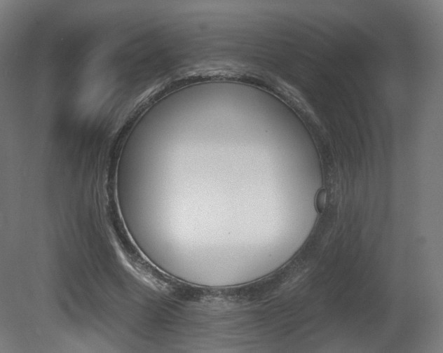 X0000081390538200701111209