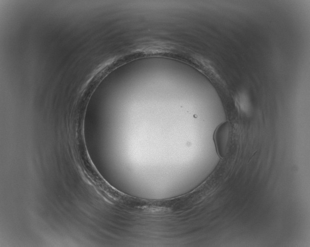 X0000081390539200701111209